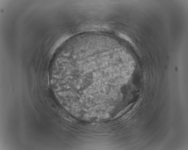 X0000067891267200605111842