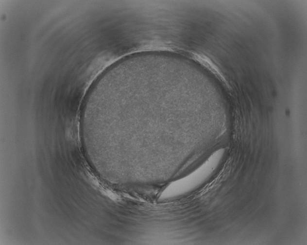 X0000067891268200605111842