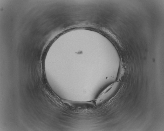 X0000067891270200605111842