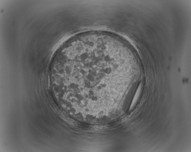 X0000067891271200605111842