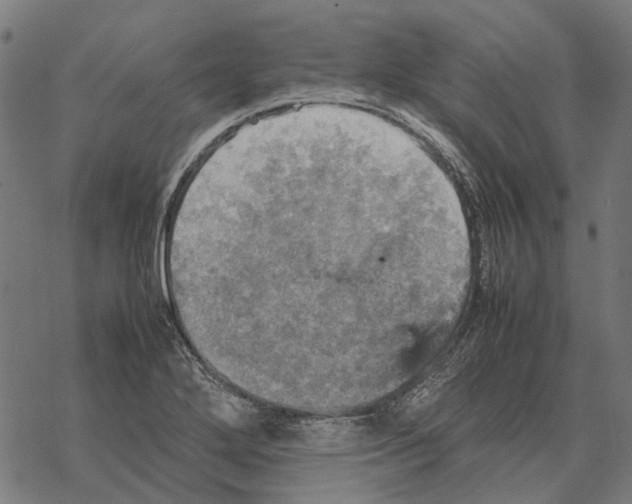 X0000067891272200605111841