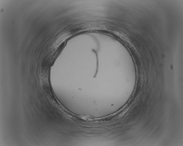 X0000067891273200605111841