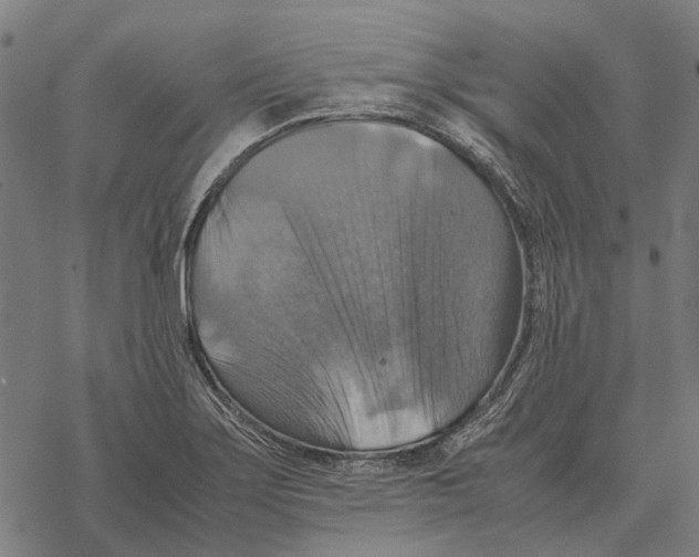 X0000067891275200605111841