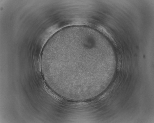 X0000067891276200605111841