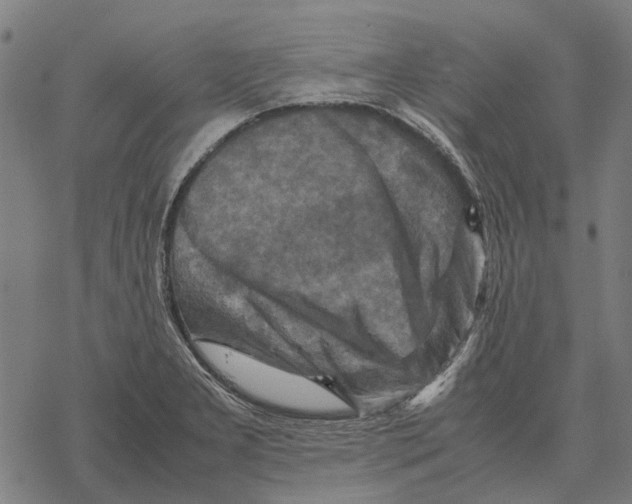 X0000067891277200605111841