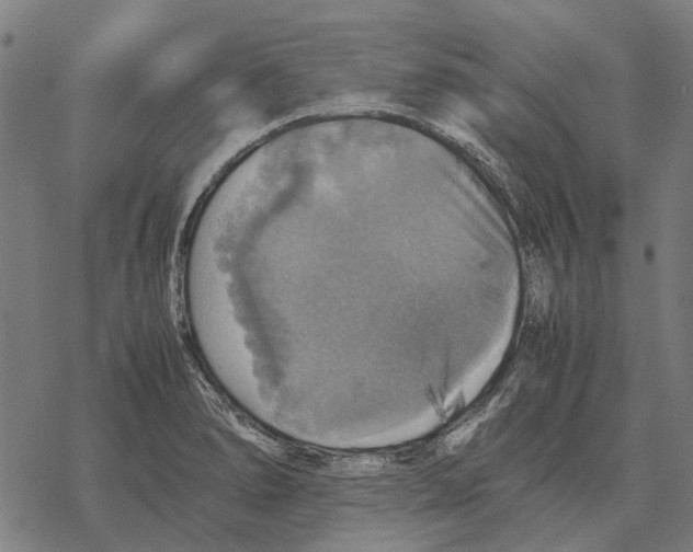 X0000067891278200605111841