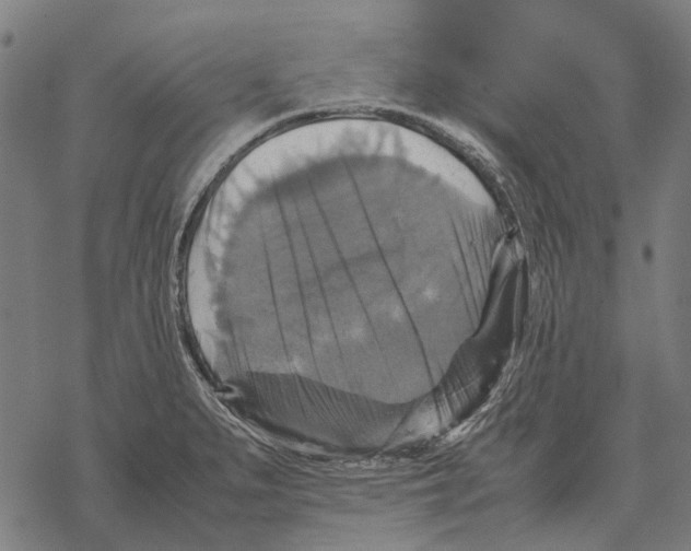 X0000067891279200605111841