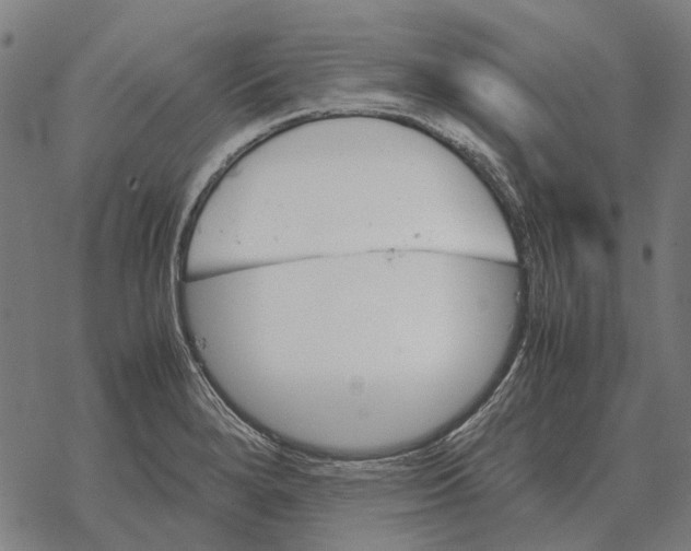 X0000067891280200605111841