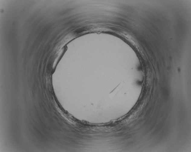 X0000067891281200605111841