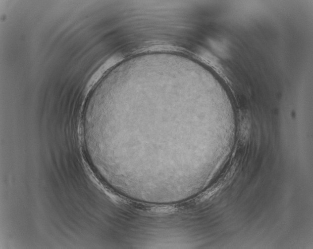 X0000067891282200605111841