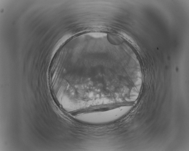 X0000067891283200605111841