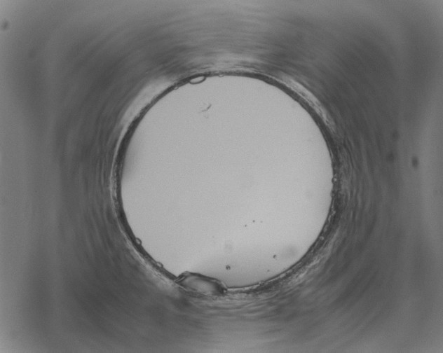 X0000067891285200605111841