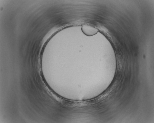 X0000067891286200605111841