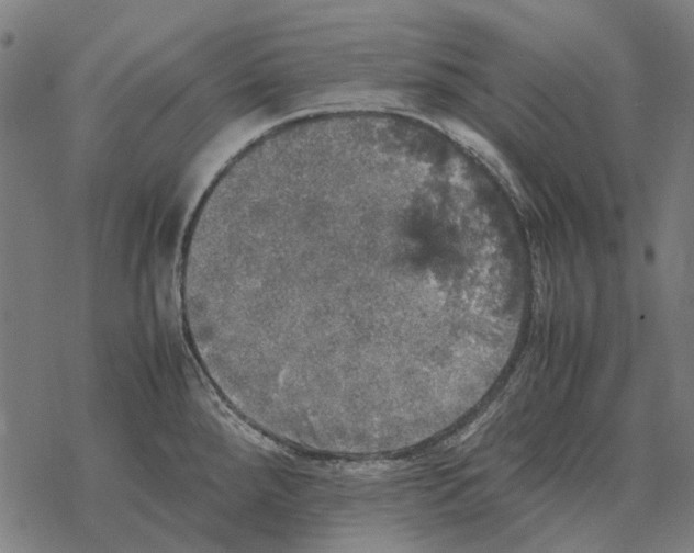 X0000067891288200605111841