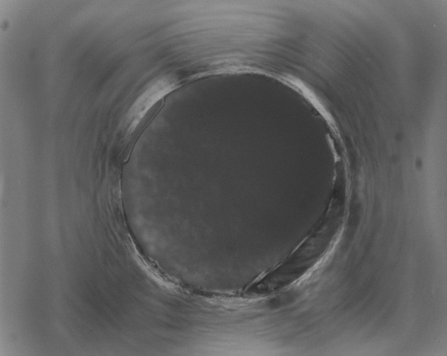 X0000067891289200605111841