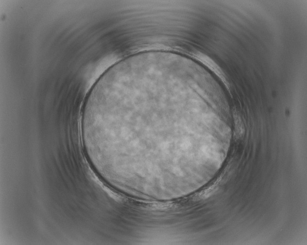 X0000067891290200605111841