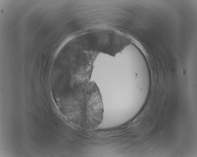 X0000067891291200605111841