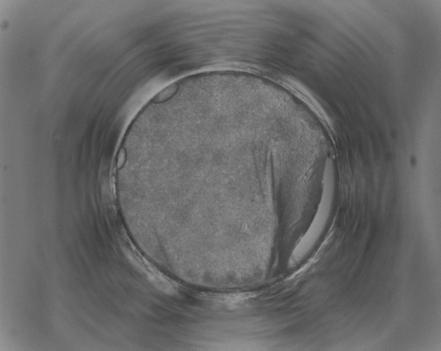 X0000067891292200605111841