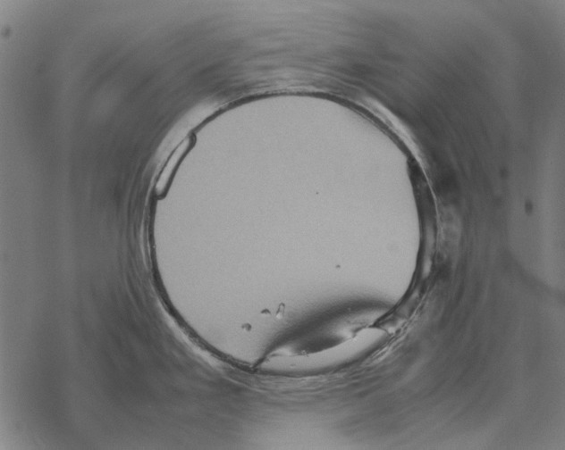 X0000067891293200605111841