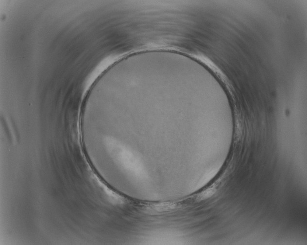 X0000067891294200605111841