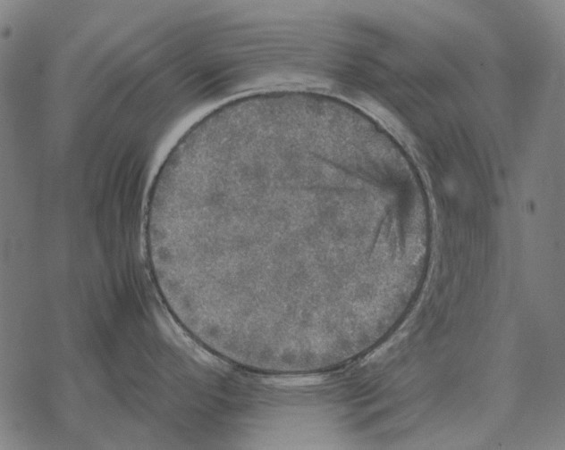 X0000067891296200605111841