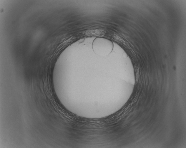 X0000067891297200605111840