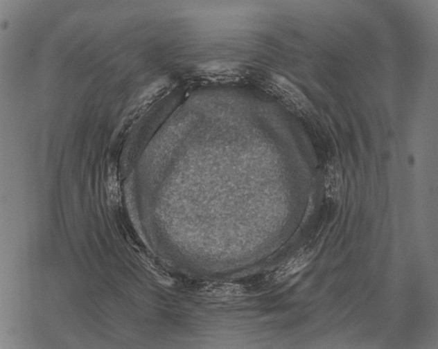 X0000067891298200605111840