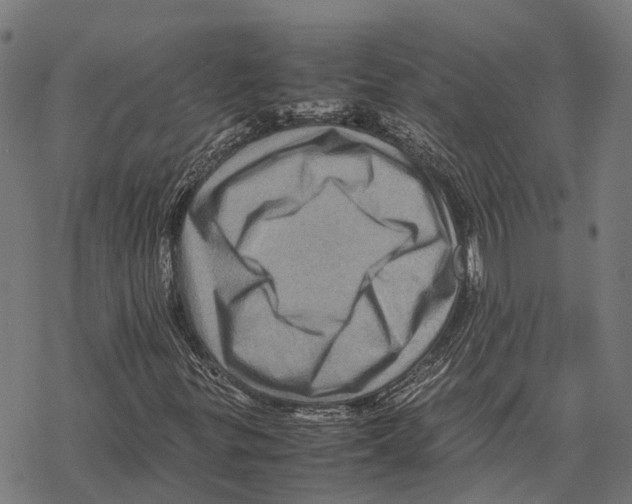 X0000067891299200605111840