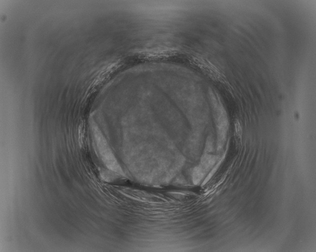 X0000067891300200605111840