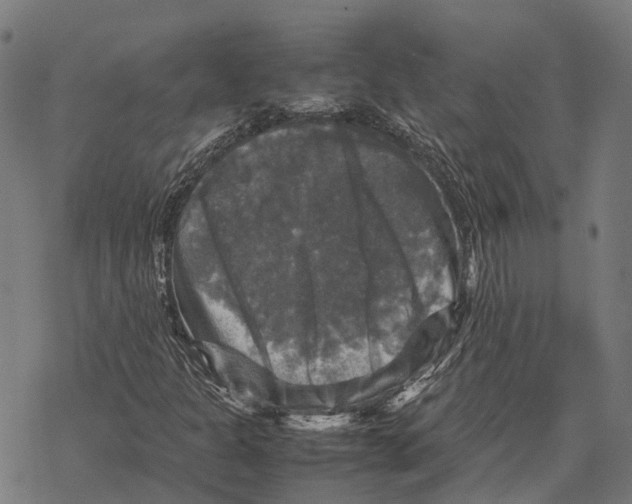 X0000067891301200605111840