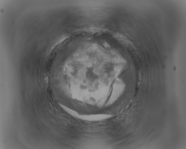 X0000067891302200605111840