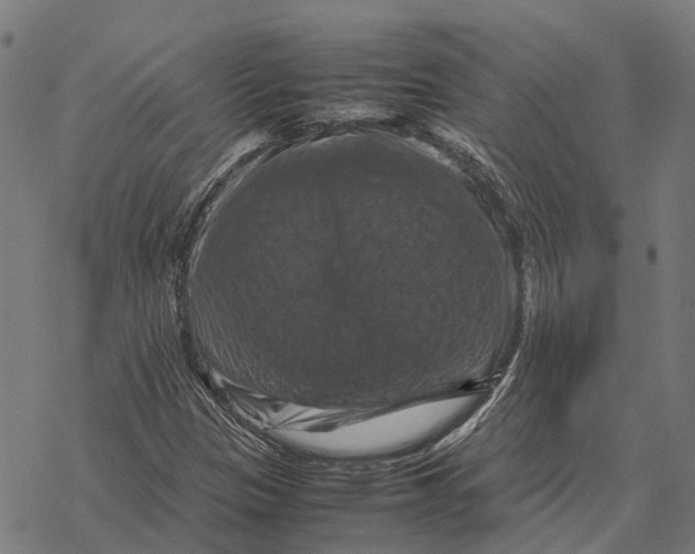 X0000067891305200605111840