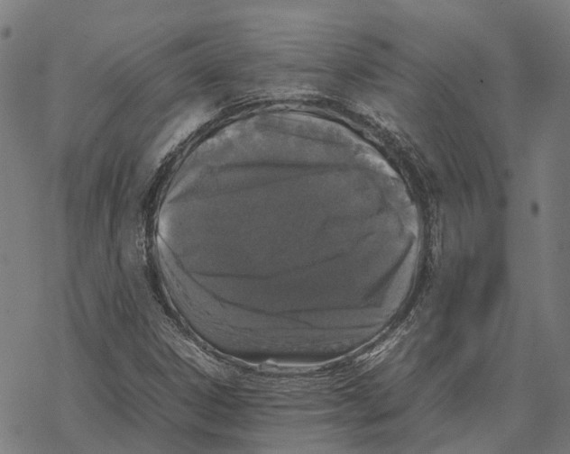 X0000067891306200605111840