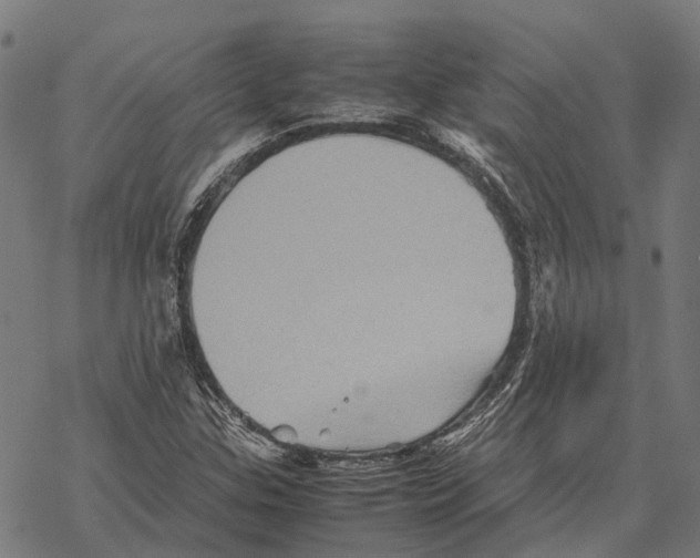 X0000067891307200605111840