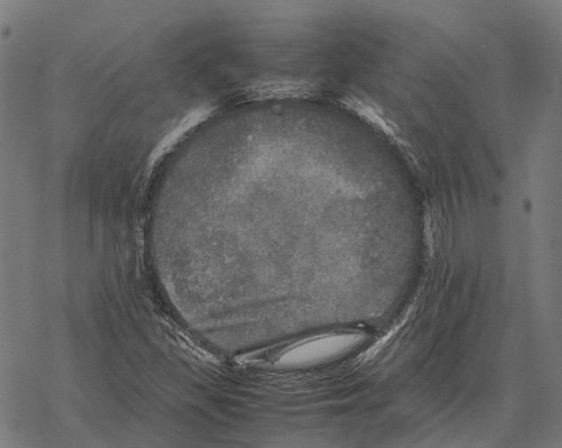 X0000067891309200605111840