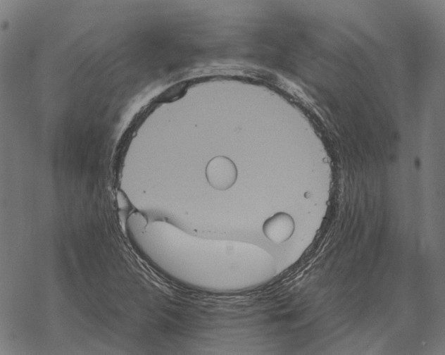 X0000067891312200605111841