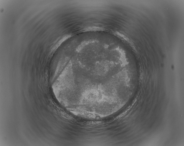 X0000067891313200605111841