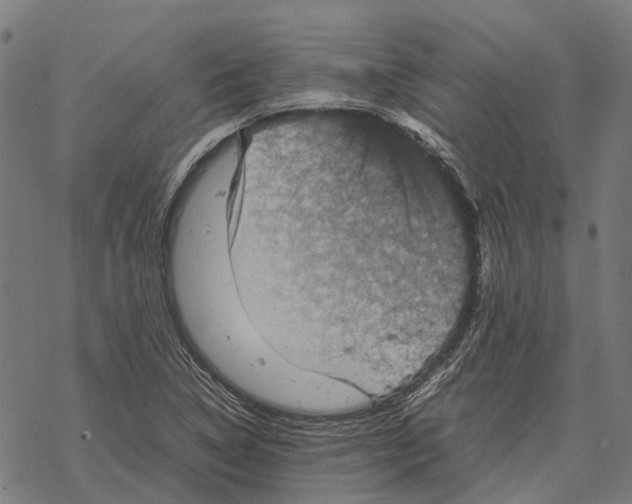 X0000067891314200605111841