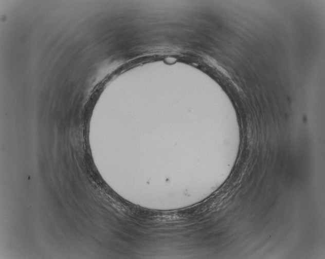 X0000067891315200605111841