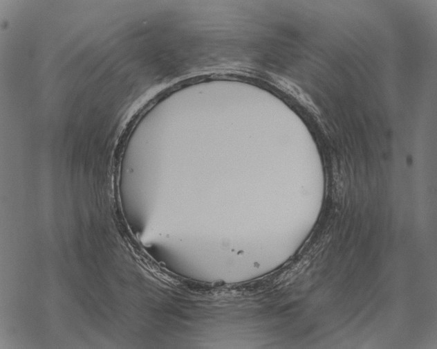 X0000067891316200605111841