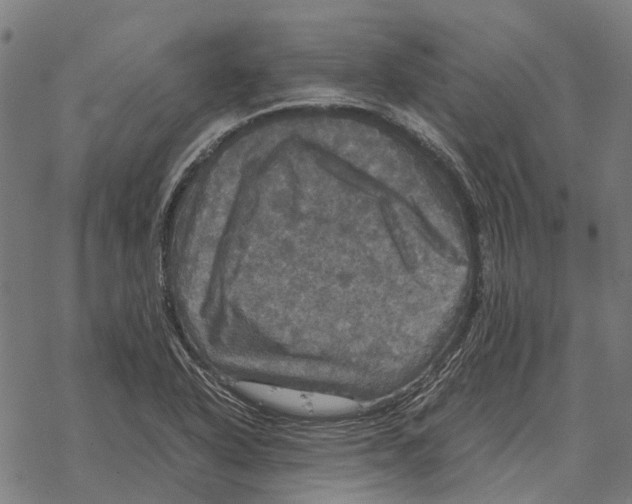 X0000067891318200605111841