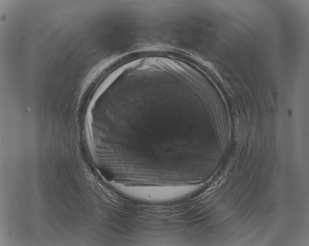 X0000067891319200605111841