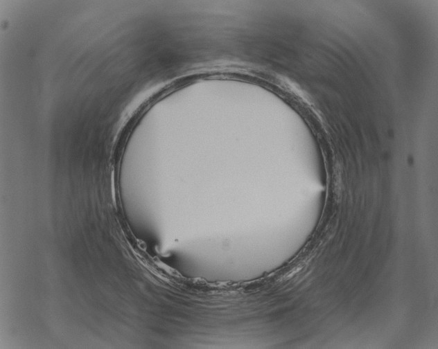 X0000067891320200605111841