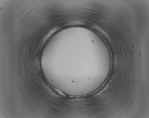 X0000067891321200605111841