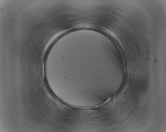 X0000067891323200605111841