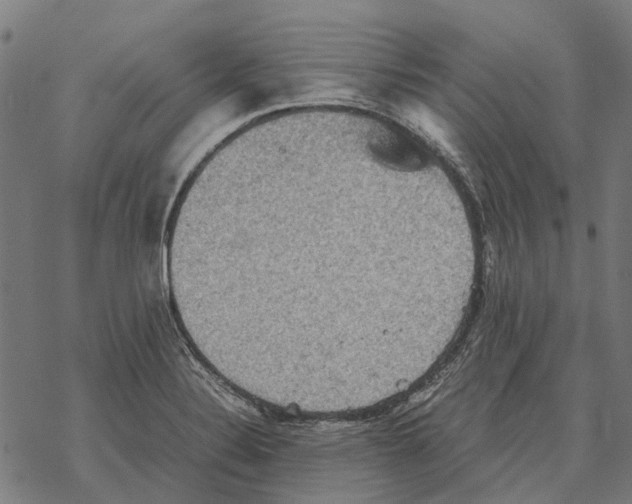 X0000067891324200605111841