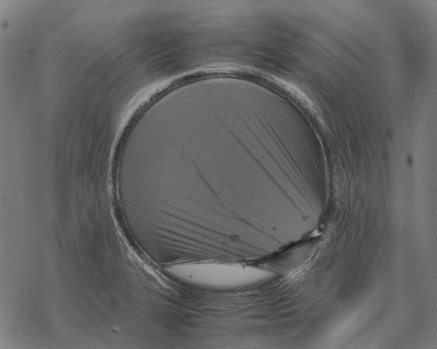 X0000067891327200605111841