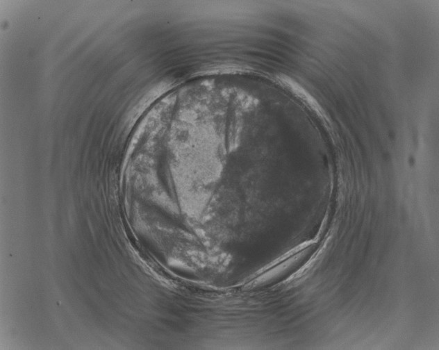 X0000067891329200605111841