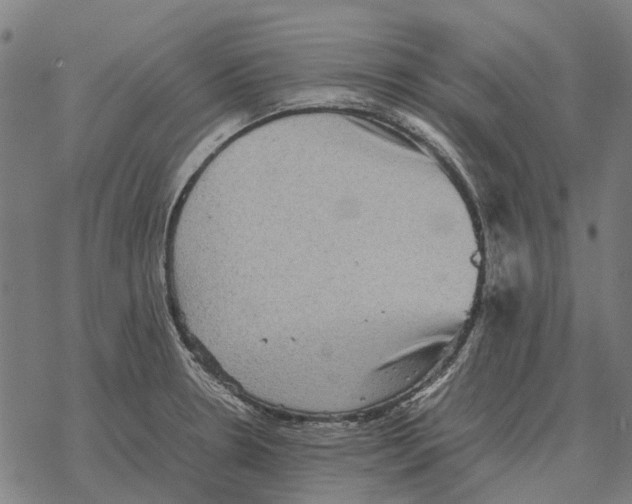 X0000067891330200605111841