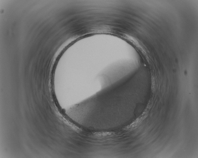 X0000067891331200605111841